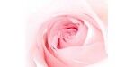 成都金瑞迪建工機(jī)械有限公司